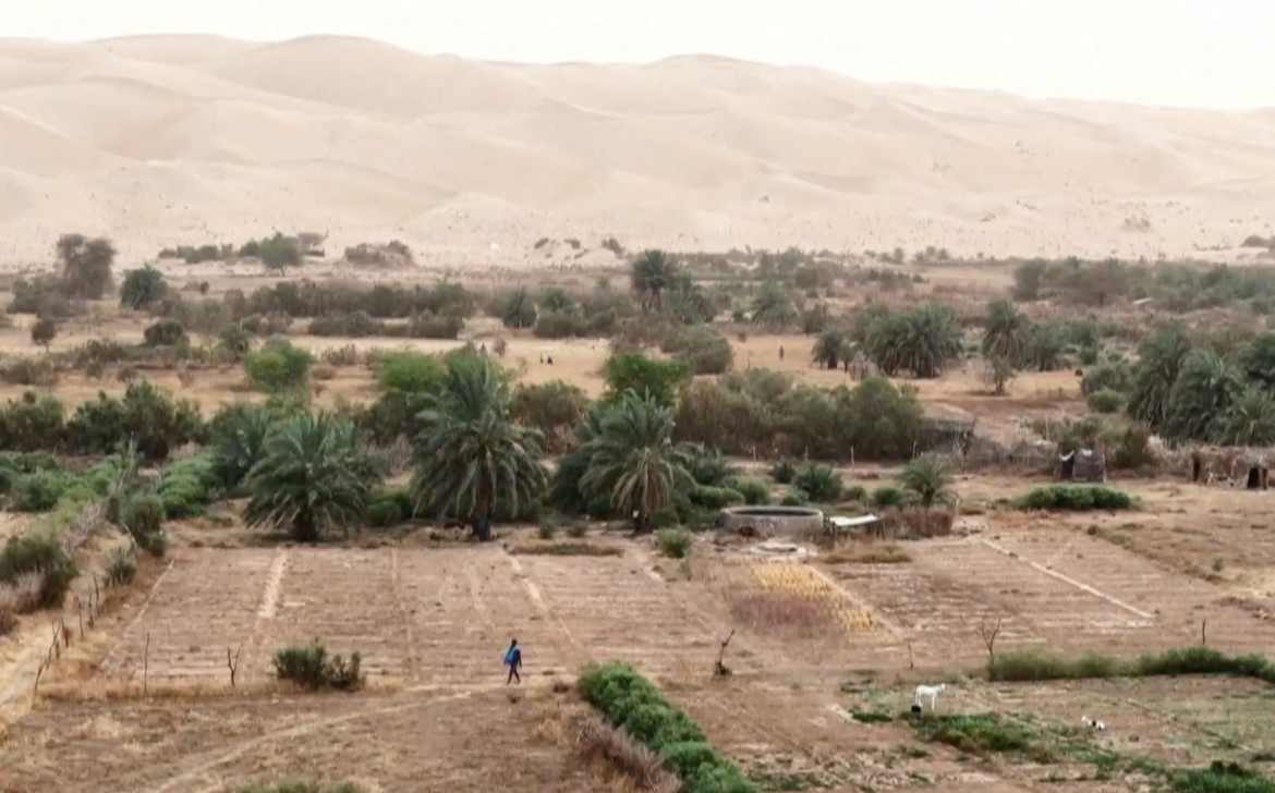 Mauritania: Return to the Oasis