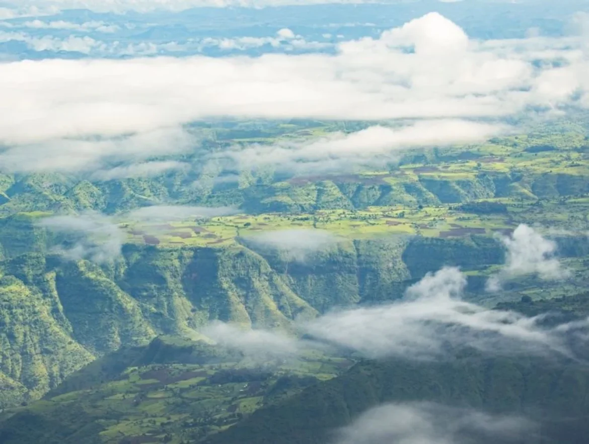 World Clean Air Day: The UN’s Battle for Blue Skies as New Affordable AI Devices for Air Pollution Monitoring are Introduced in South Africa